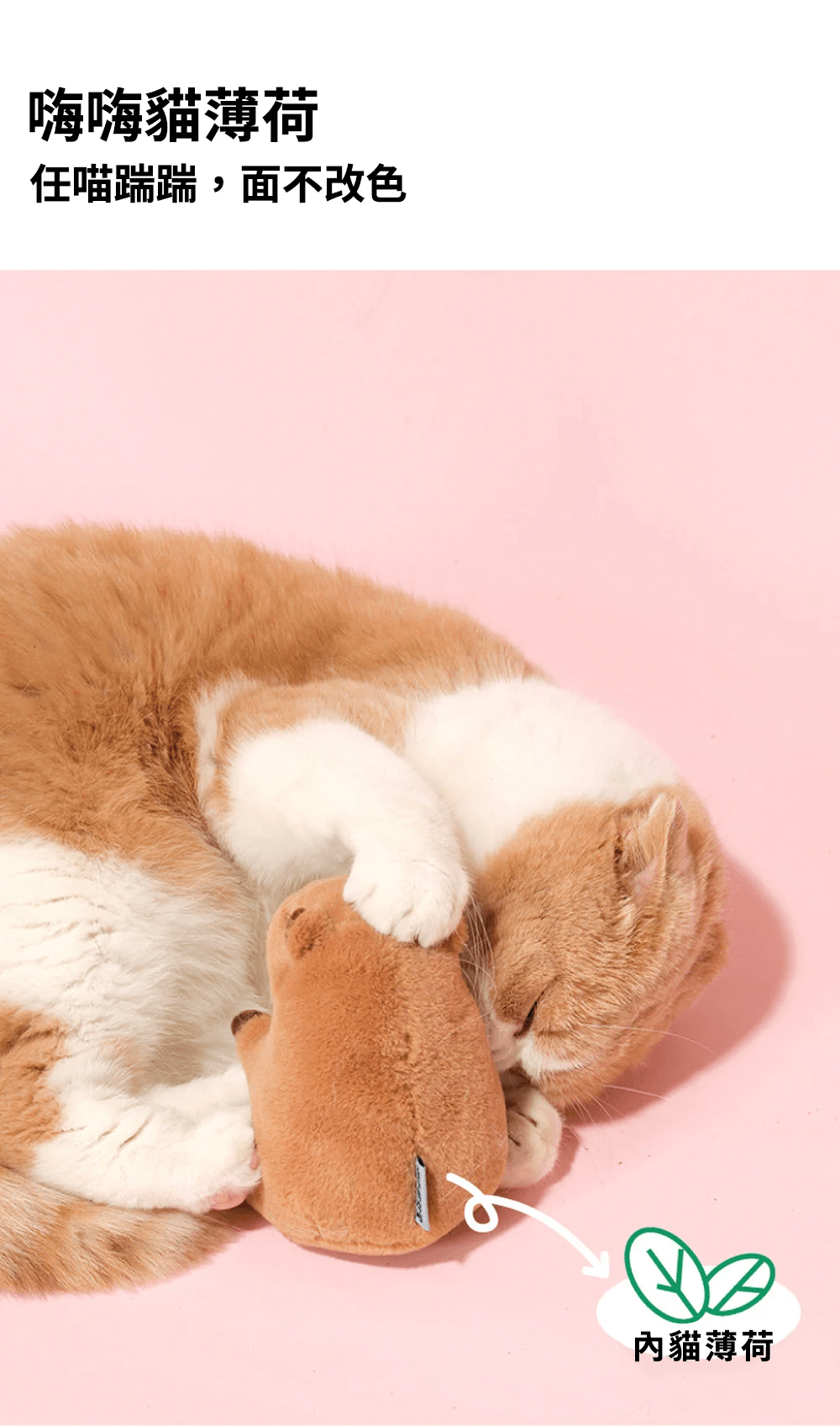 purlab 水豚泡澡貓薄荷玩具