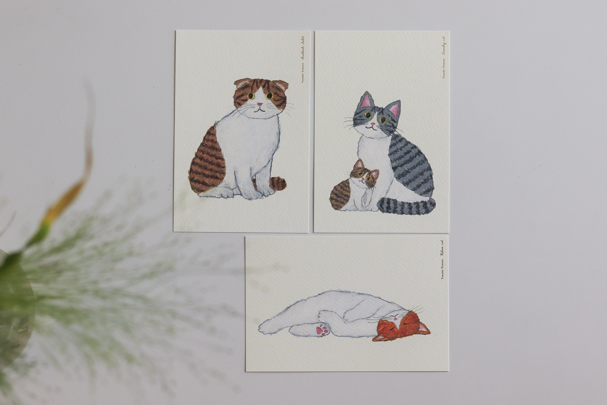 日本 Yusuke Yonezu 米津祐介 貓咪 明信片