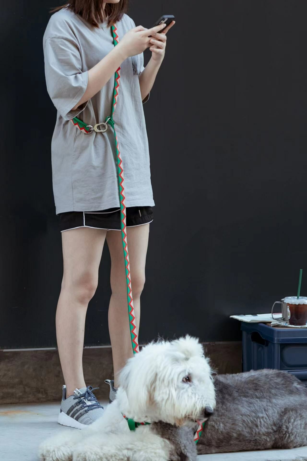 解放雙手多功能牽引繩