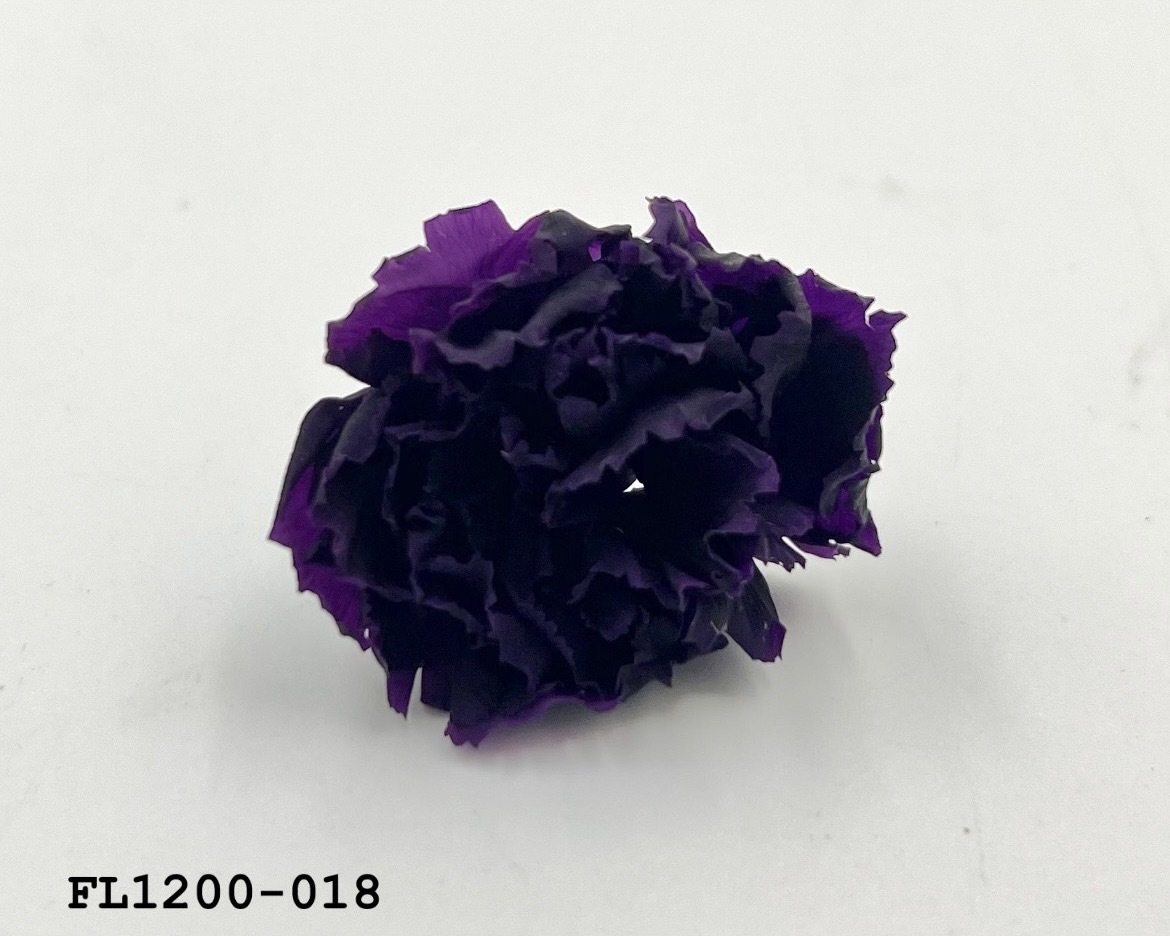 日本不凋小輪康乃馨 (12朵) FL1200-018