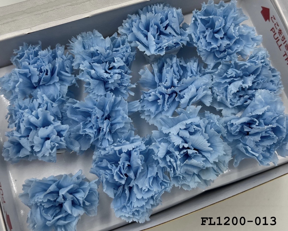 日本不凋小輪康乃馨 (12朵) FL1200-013