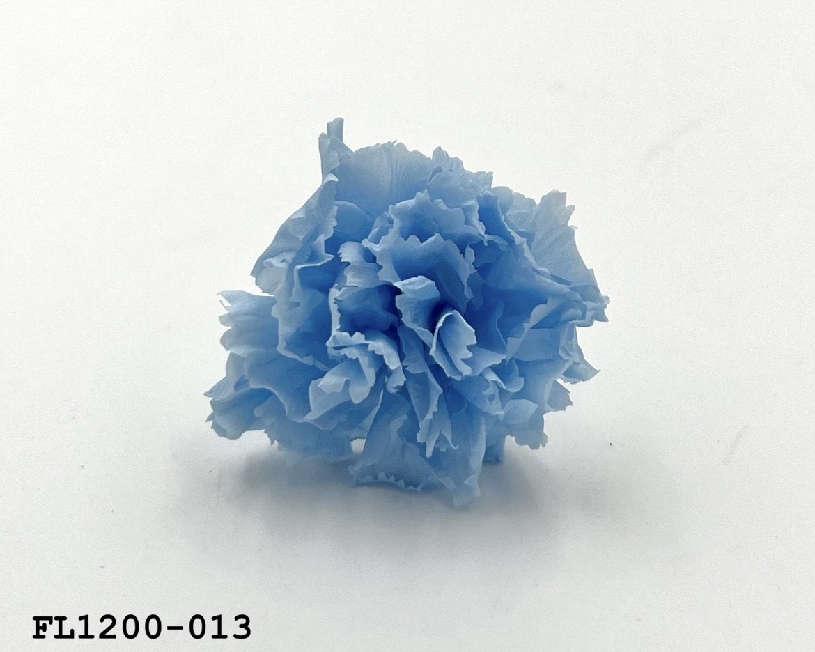 日本不凋小輪康乃馨 (12朵) FL1200-013