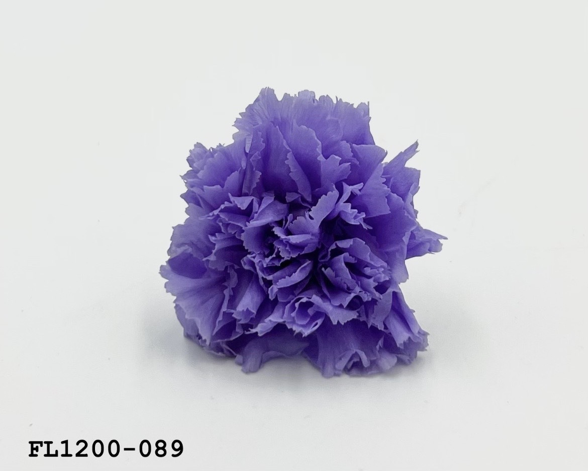 日本不凋小輪康乃馨 (12朵) FL1200-089