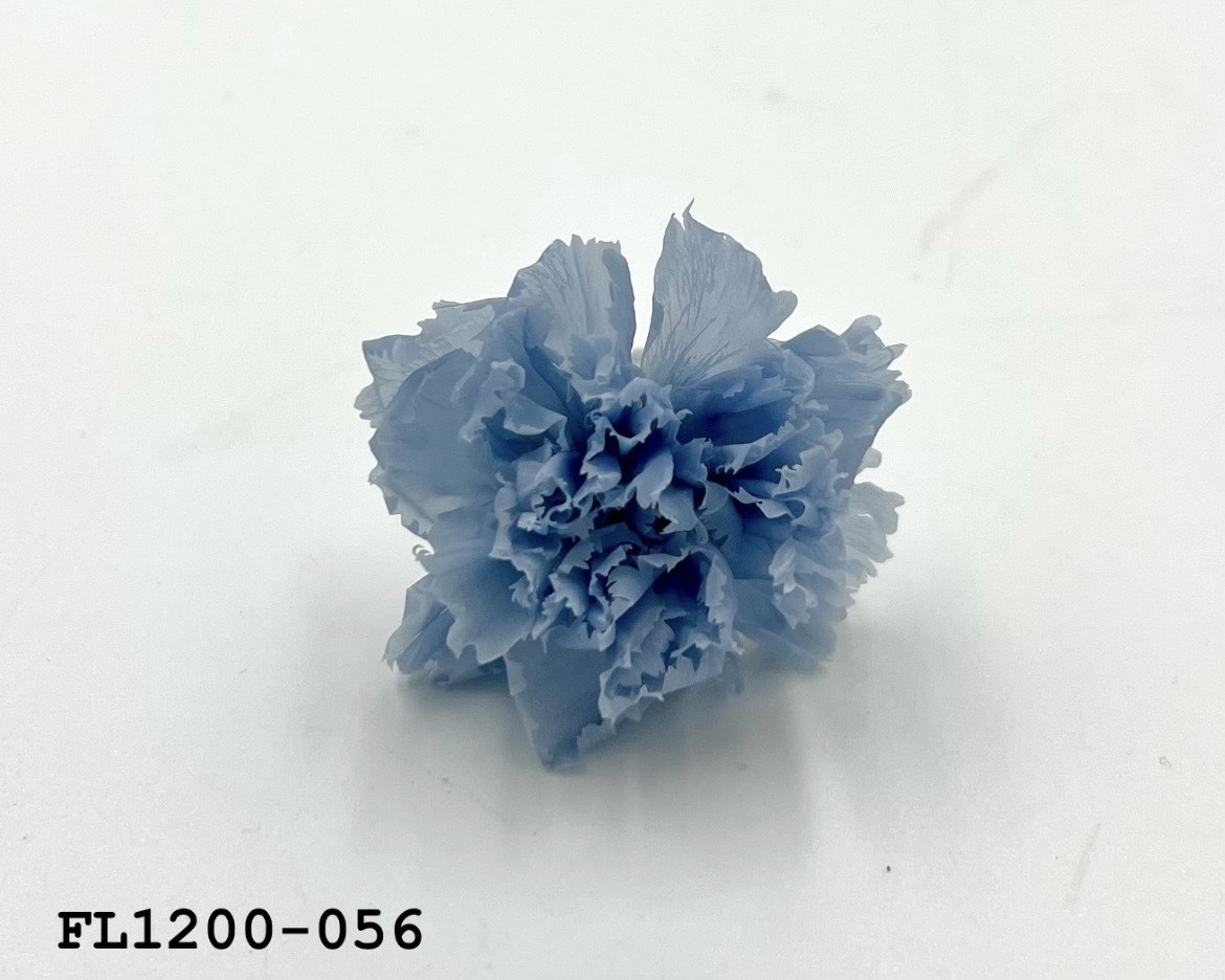 日本不凋小輪康乃馨 (12朵) FL1200-056