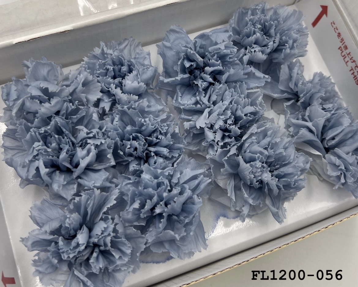 日本不凋小輪康乃馨 (12朵) FL1200-056