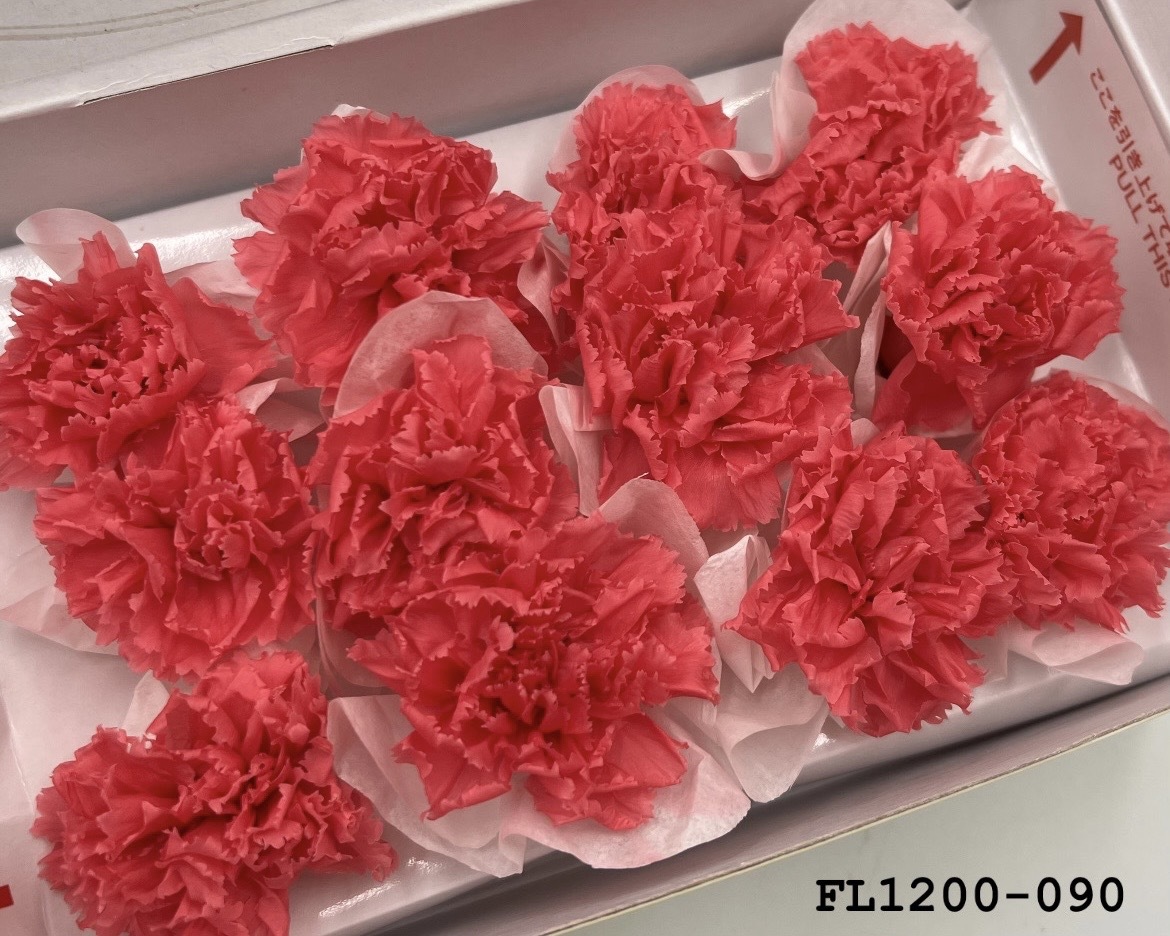 日本不凋小輪康乃馨 (12朵) FL1200-090