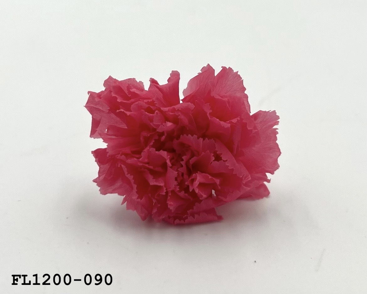 日本不凋小輪康乃馨 (12朵) FL1200-090