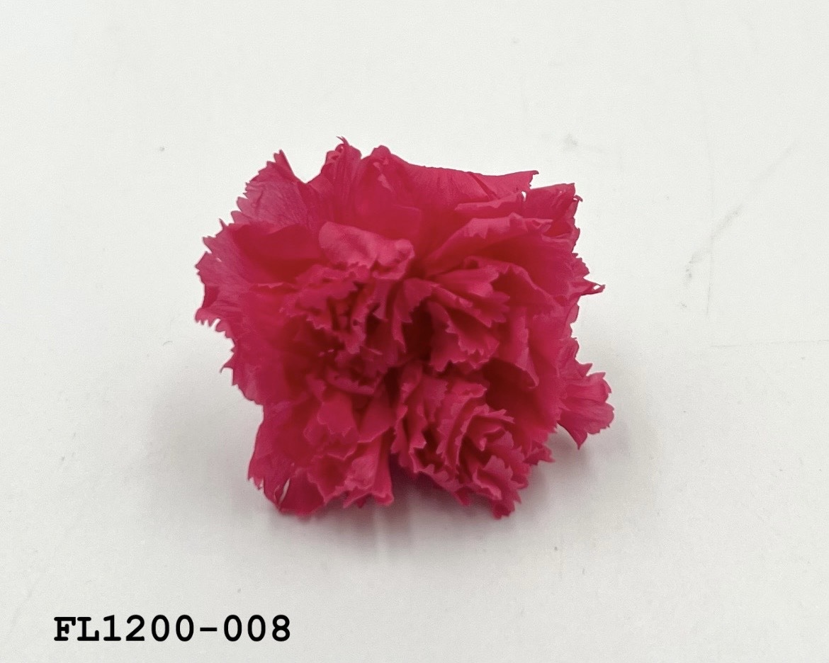 日本不凋小輪康乃馨 (12朵) FL1200-008