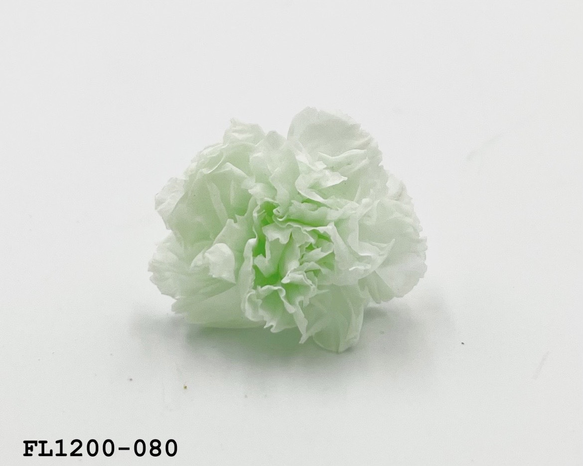 日本不凋小輪康乃馨 (12朵) FL1200-080