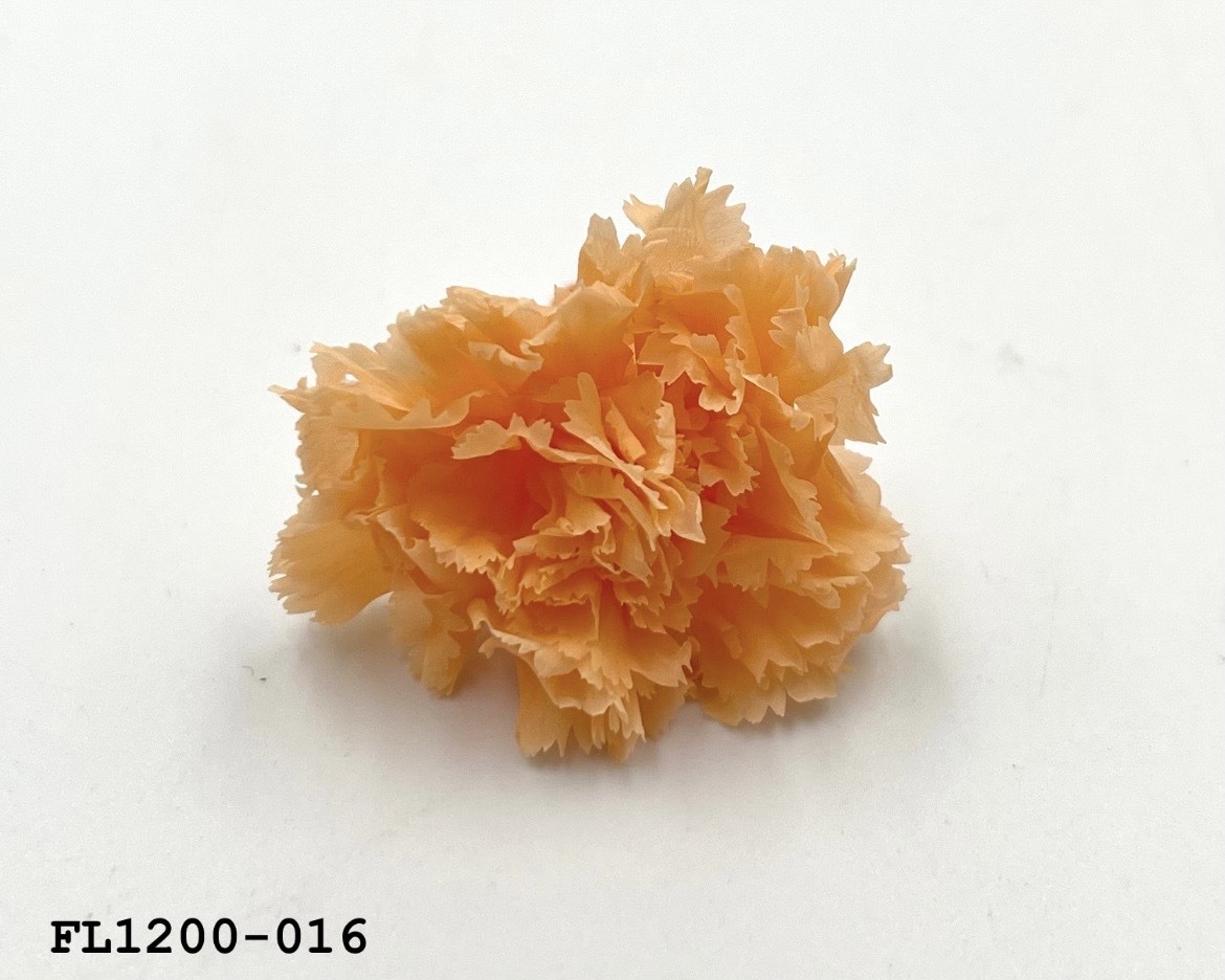 日本不凋小輪康乃馨 (12朵) FL1200-016