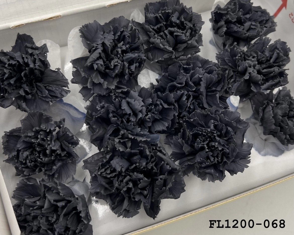 日本不凋小輪康乃馨 (12朵) FL1200-068