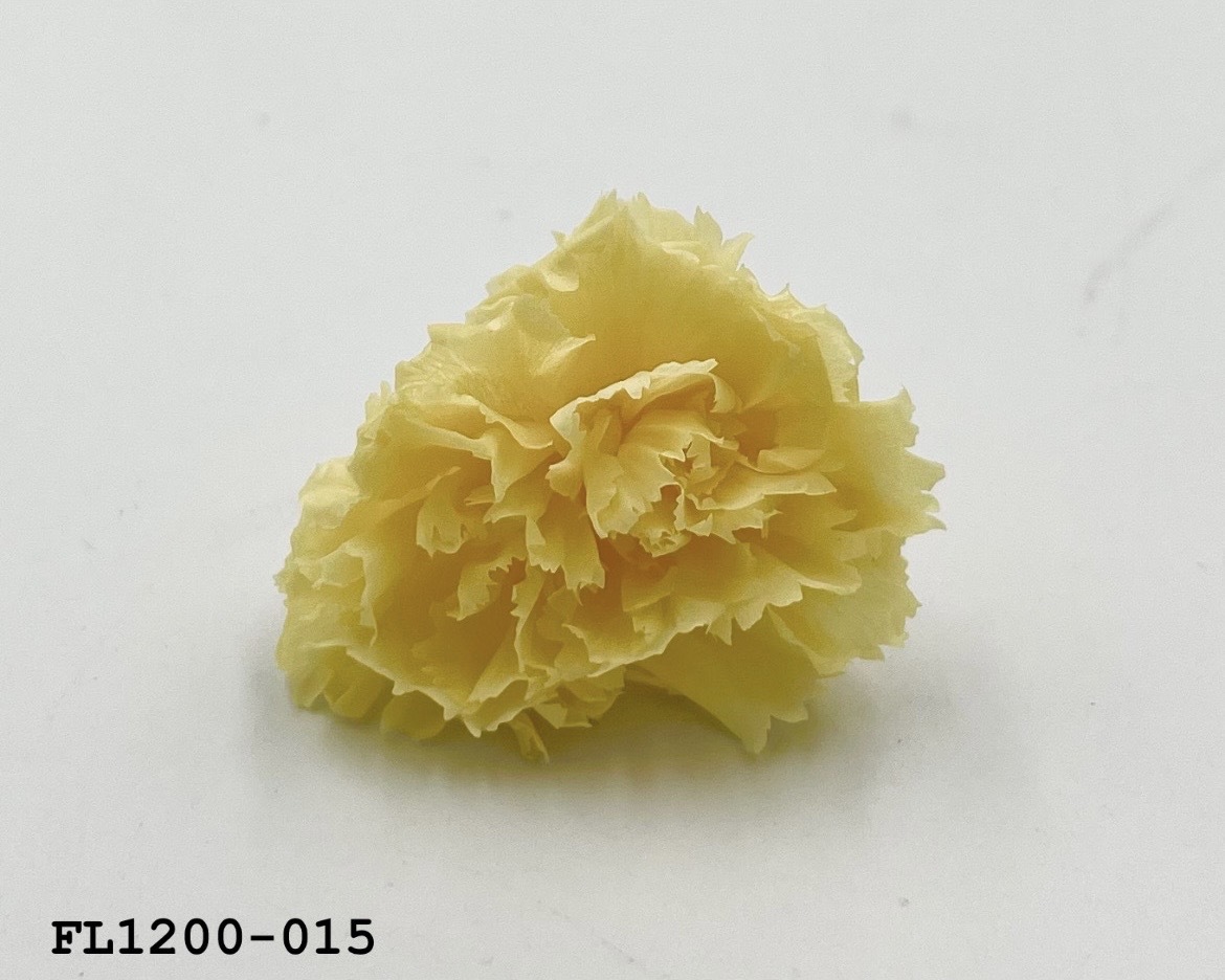 日本不凋小輪康乃馨 (12朵) FL1200-015