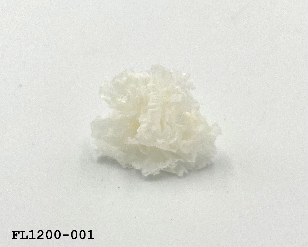 日本不凋小輪康乃馨 (12朵) FL1200-001