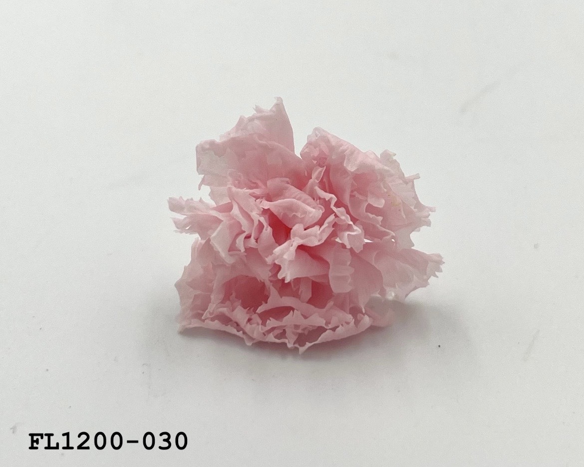 日本不凋小輪康乃馨 (12朵) FL1200-030