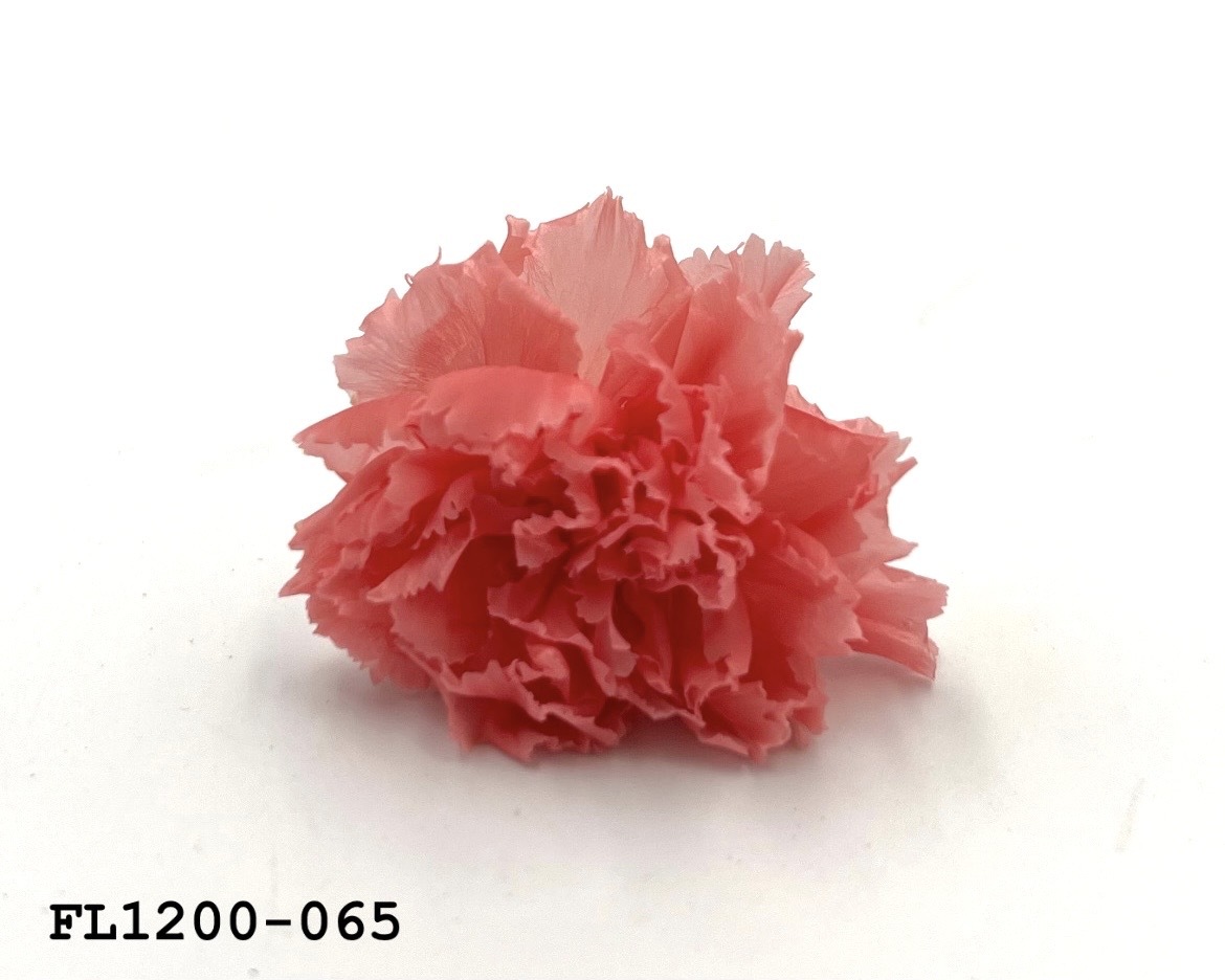 日本不凋小輪康乃馨 (12朵) FL1200-065