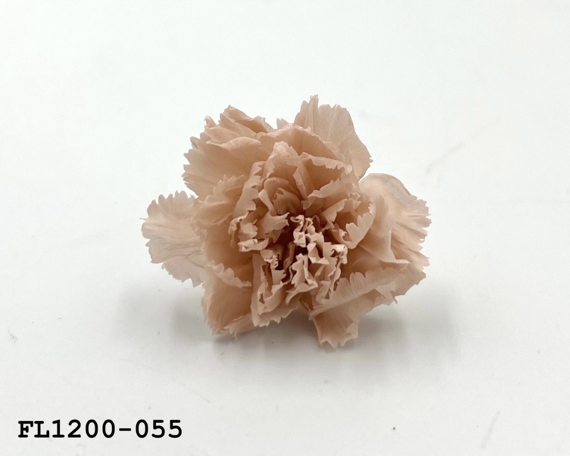 日本不凋小輪康乃馨 (12朵) FL1200-055