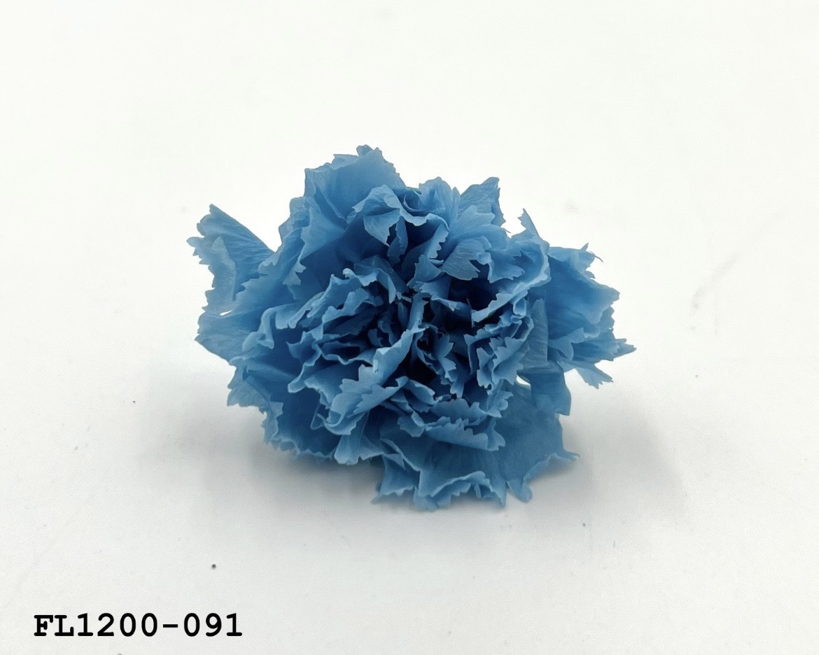 日本不凋小輪康乃馨 (12朵) FL1200-091