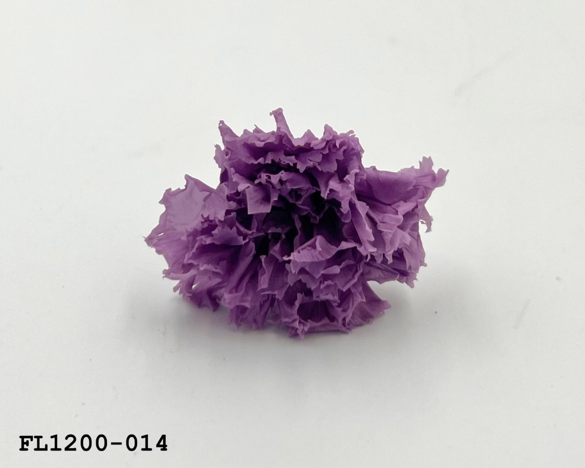 日本不凋小輪康乃馨 (12朵) FL1200-014