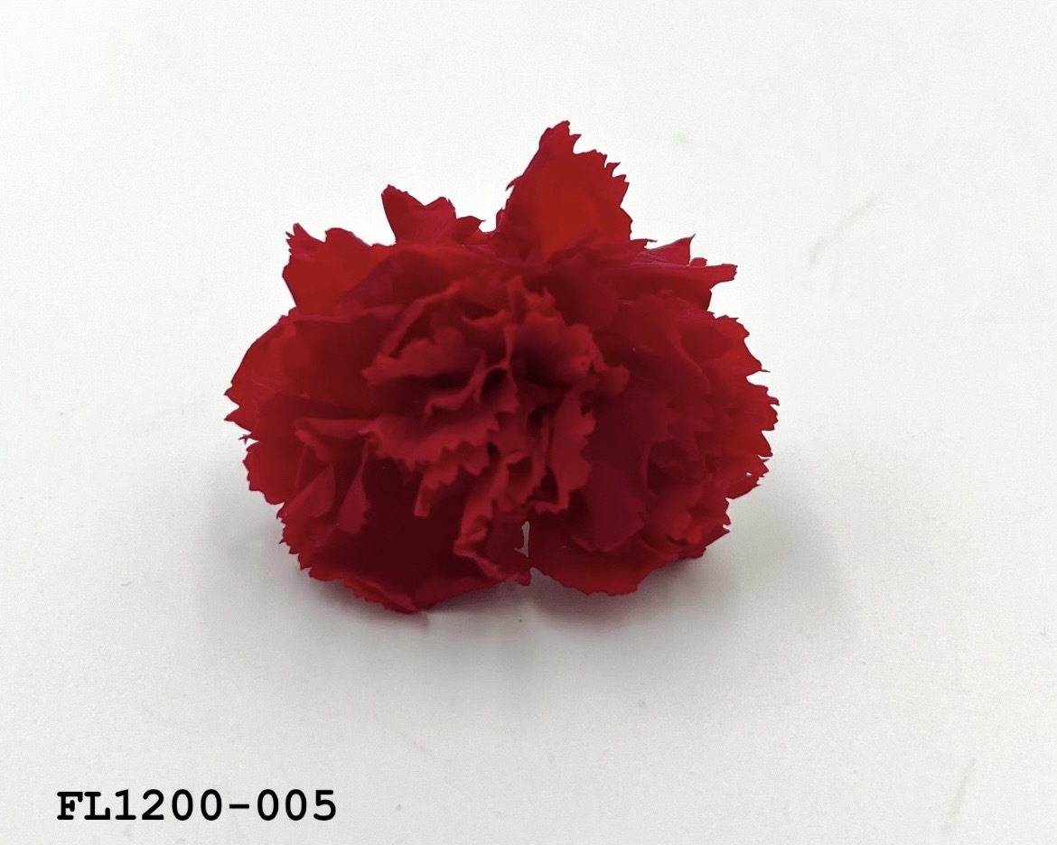 日本不凋小輪康乃馨 (12朵) FL1200-005