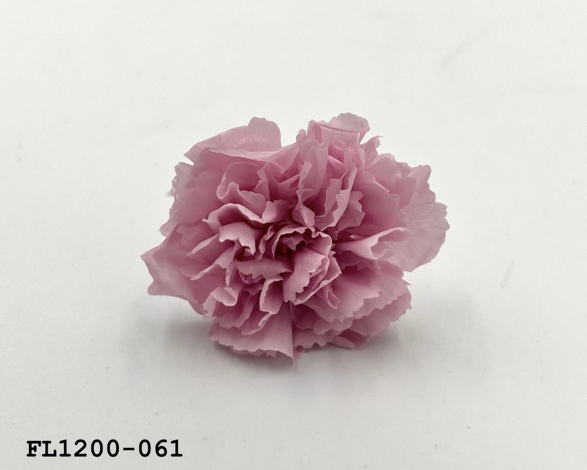 日本不凋小輪康乃馨 (12朵) FL1200-061