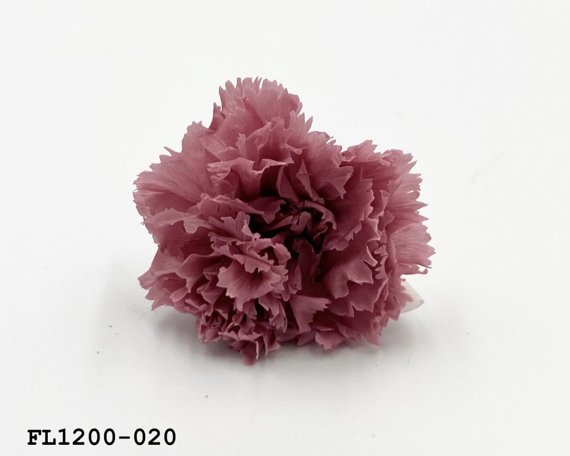 日本不凋小輪康乃馨 (12朵) FL1200-020