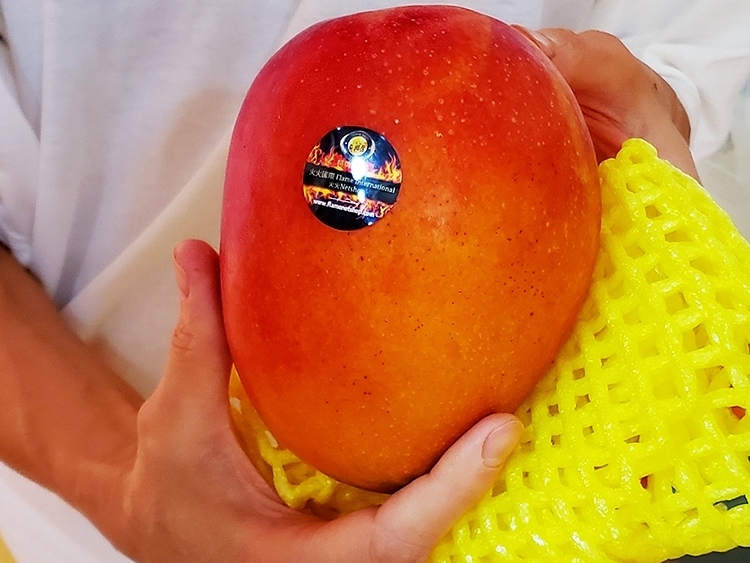 #台灣 #枋山 #愛文芒果 #高雄市 #老樹 #玉荷包 #荔枝 #馬來西亞 #榴槤 #猫山皇 #黑刺 #楊山 #水蜜桃 #進口 #生果 #水果 #黑珍珠 #鮮果 #母親節 #父親節 #端午節