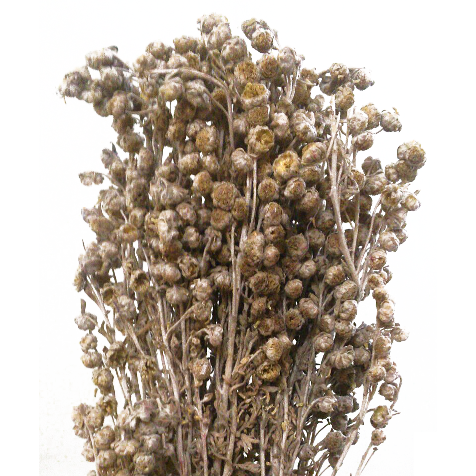 印蒿精油, 香氛, 皮膚保養, 舒緩身心, 印蒿酮, 蒸氣蒸餾, 自然療法, 芳療, 個人護理, 植物精油, 精油配方, 家庭護理, 健康生活, 香薰療法, 自然美容,Davana,Artemisia pallens oil, fragrances,