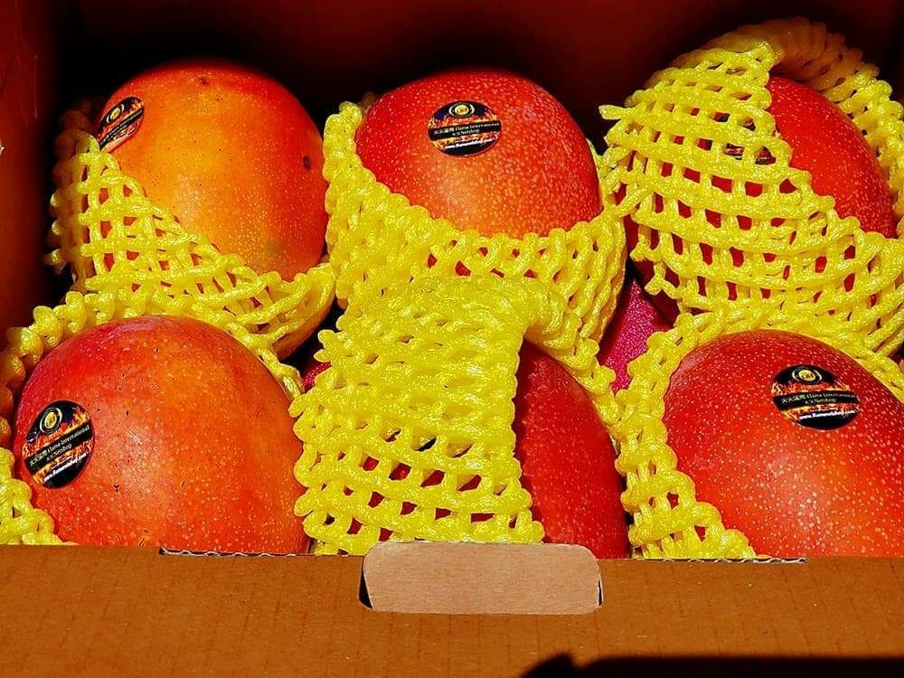 #台灣 #枋山 #愛文芒果 #高雄市 #老樹 #玉荷包 #荔枝 #馬來西亞 #榴槤 #猫山皇 #黑刺 #楊山 #水蜜桃 #進口 #生果 #水果 #黑珍珠 #鮮果 #母親節 #父親節 #端午節