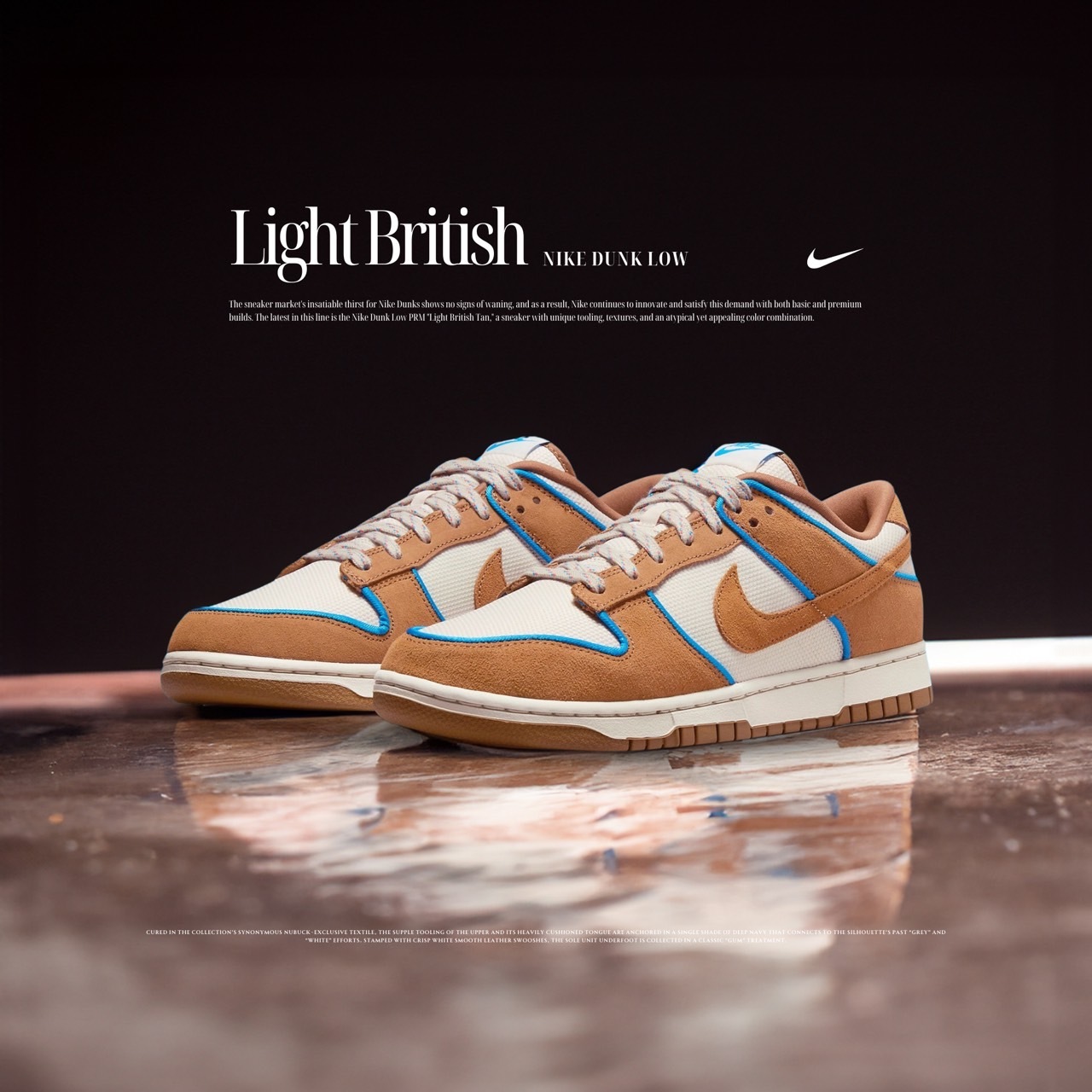 NICEDAY 現貨 Nike Dunk Low 棕褐色 麂皮 男款 FN5825-100