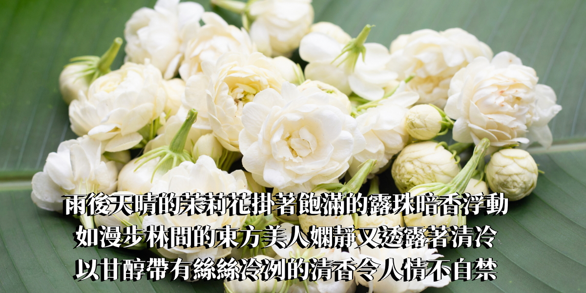 經典繡球茉莉精油香水10ml【ISFP命定香】