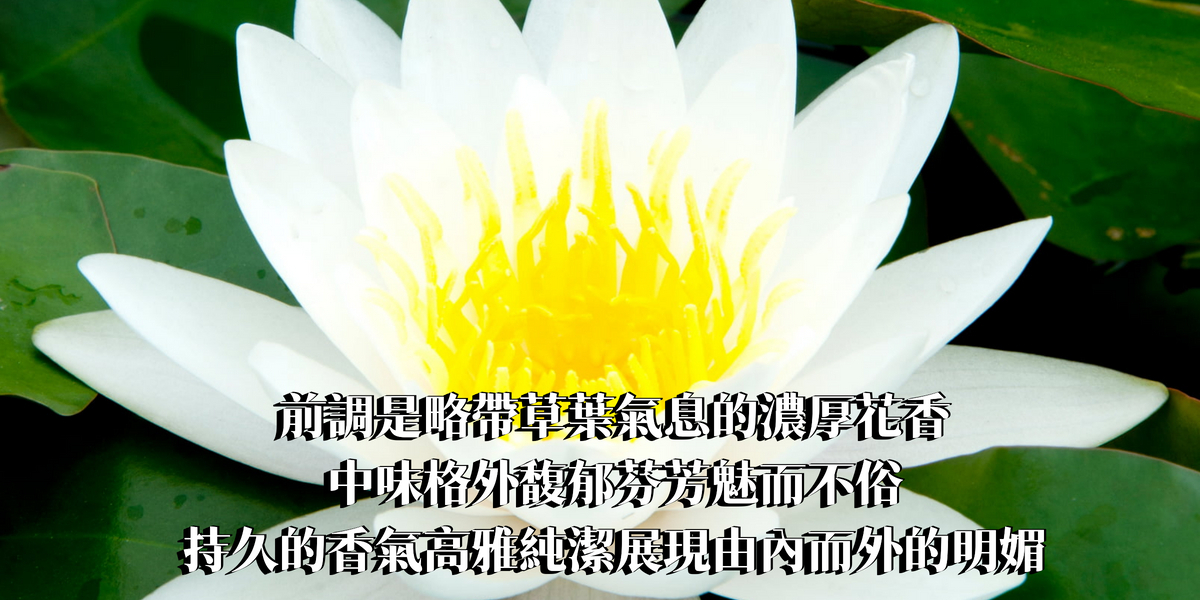 經典白蓮花精油香水10ml