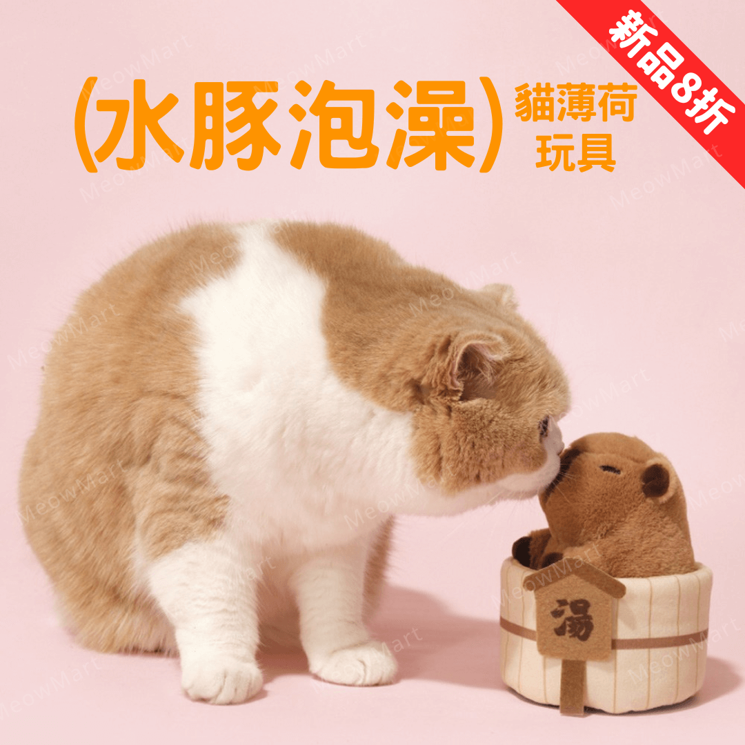 【限定8折】超萌水豚泡澡貓薄荷玩具
