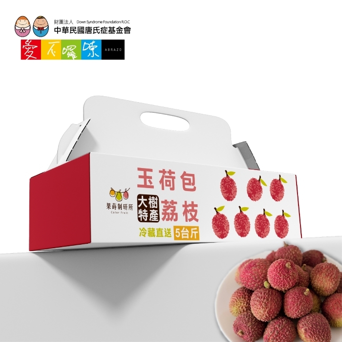 B8 公益合作｜好蒔光 嚴選鮮果禮盒 大樹玉荷包