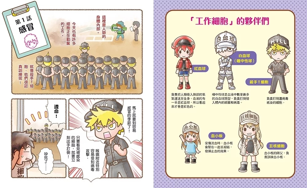 繪本工作細胞 ⑤同心抗敵！感冒與皮下血腫
