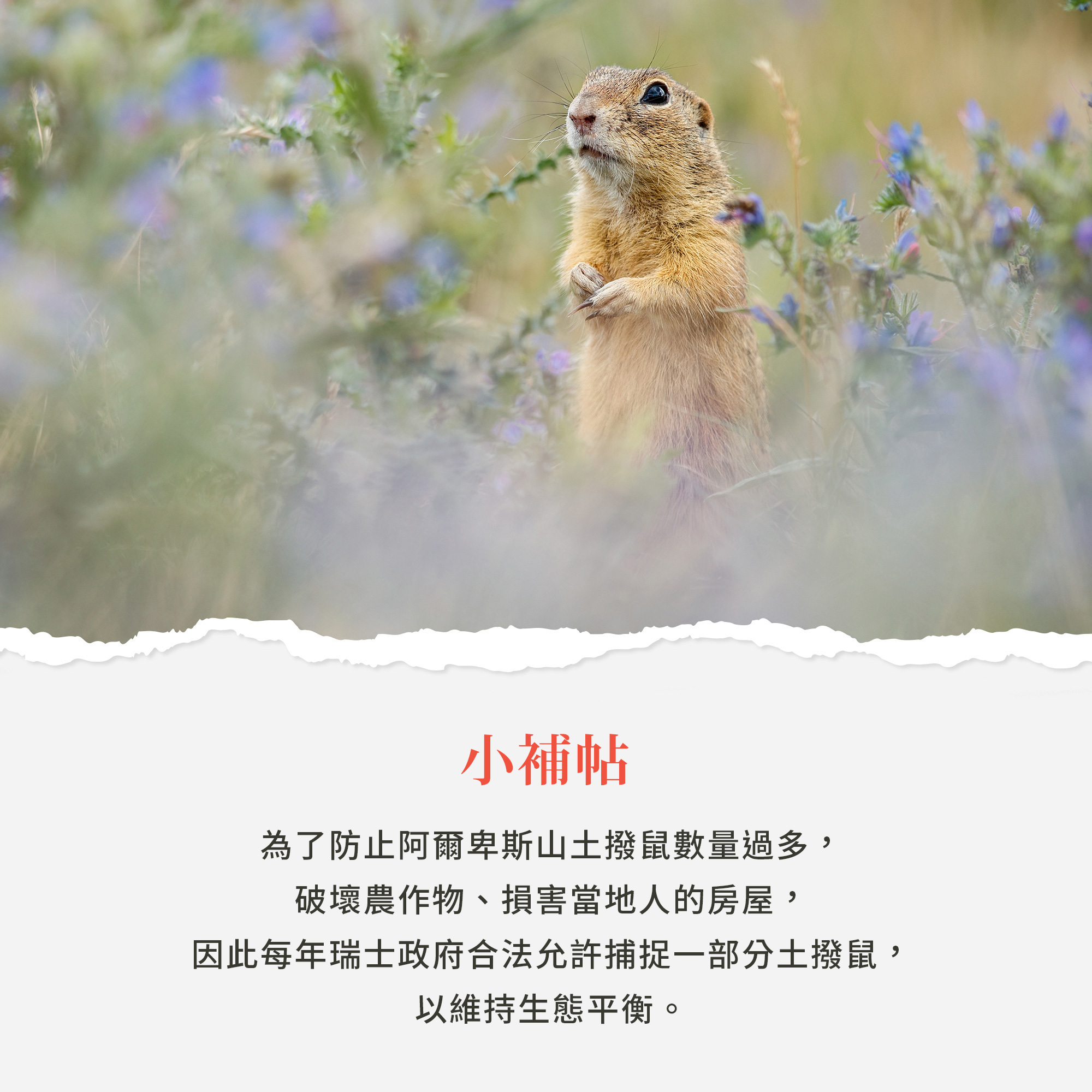 經絡護理草本膏