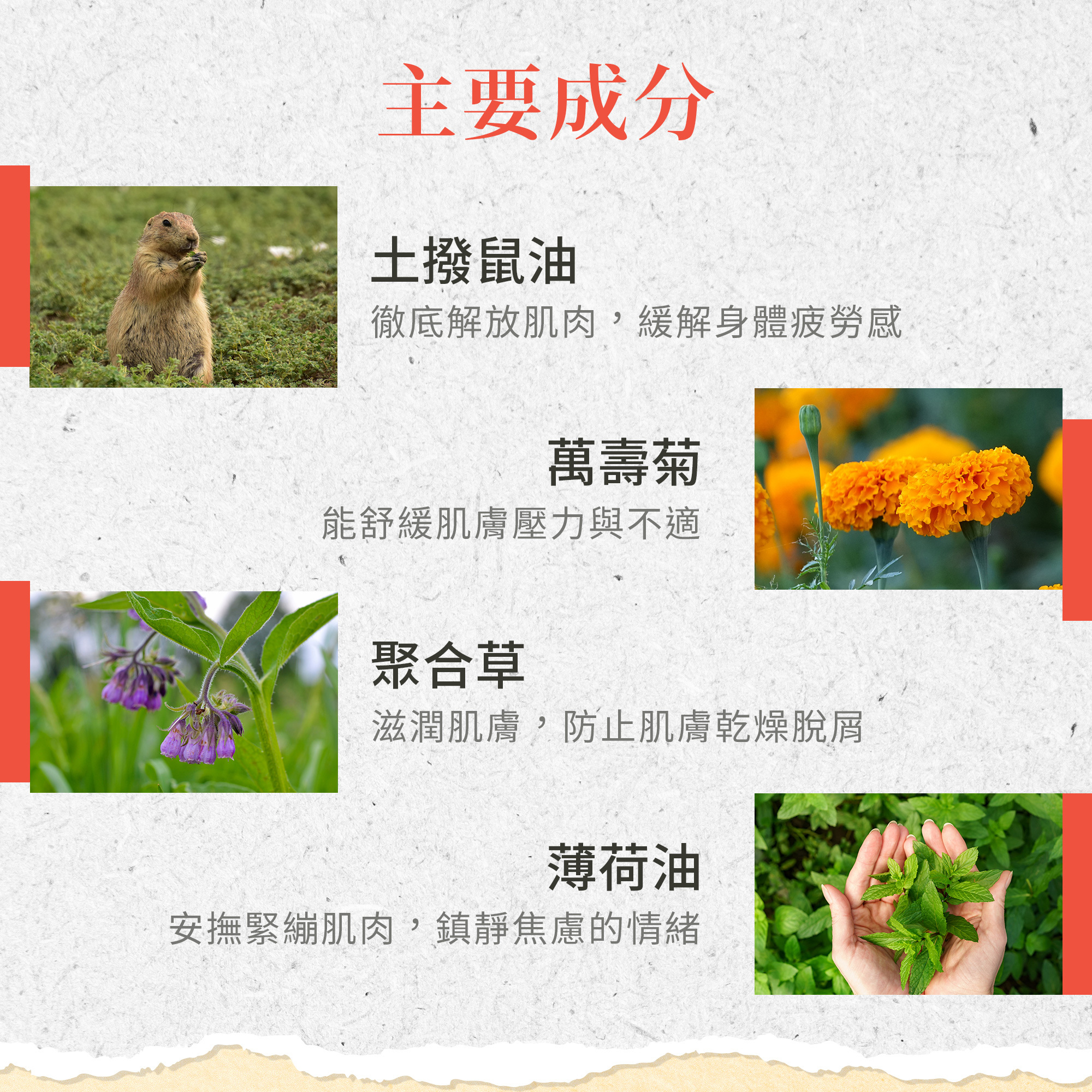 經絡護理草本膏