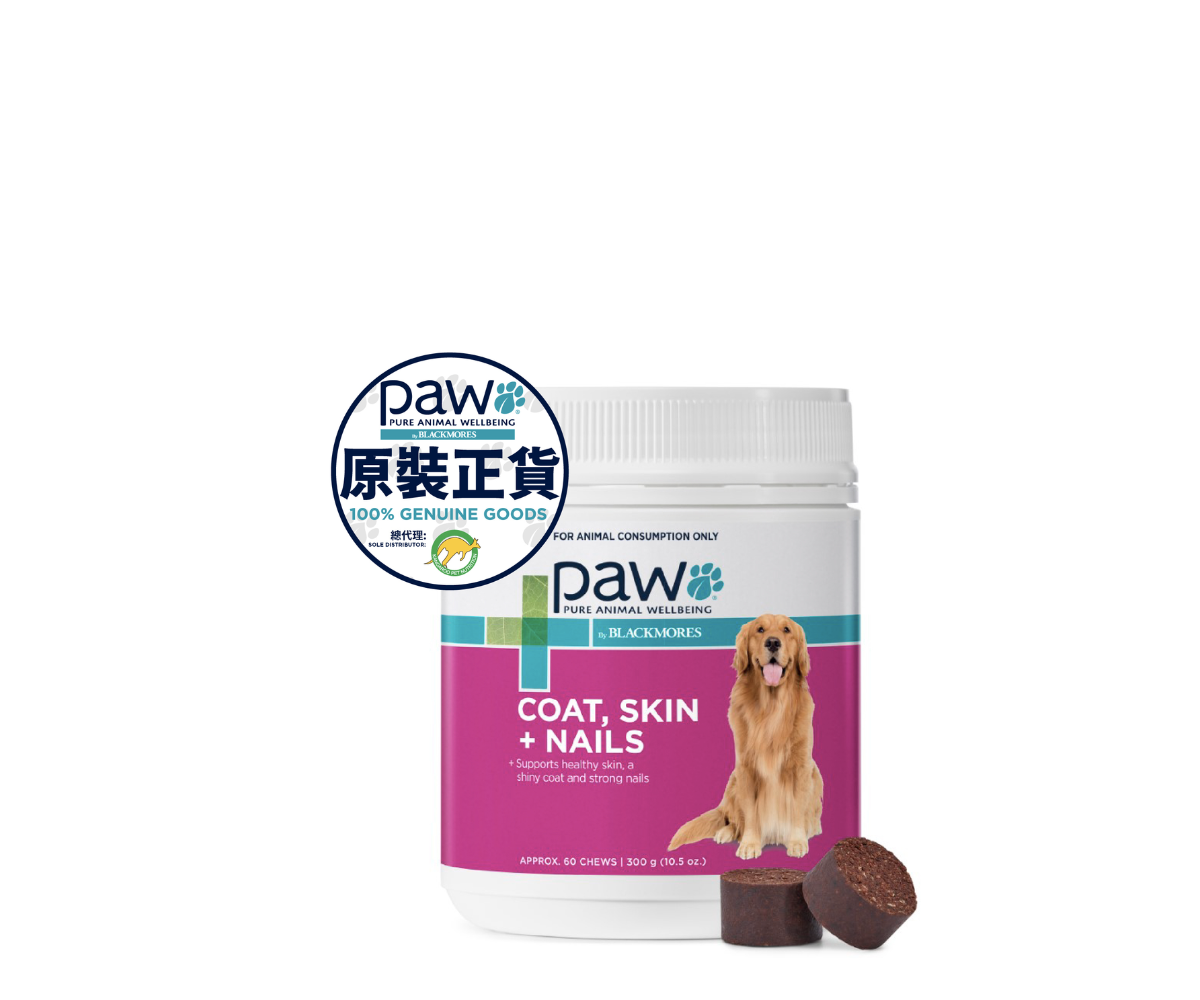 PAW - 狗用 毛髮、指甲及皮膚健康咀嚼片 300g 60粒裝-賞味期 6/2026