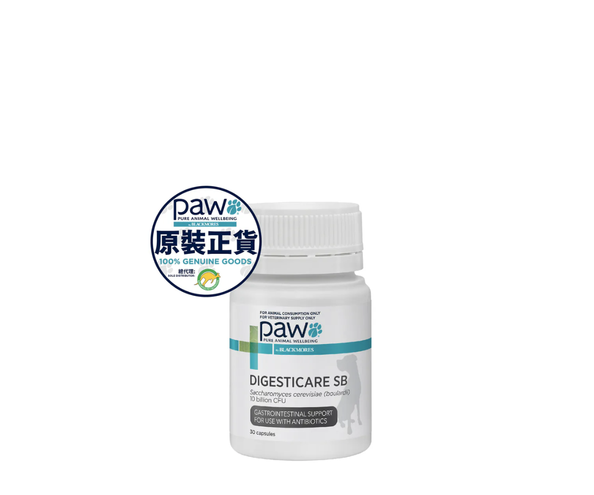 PAW - 小型犬腸道護理 30粒裝