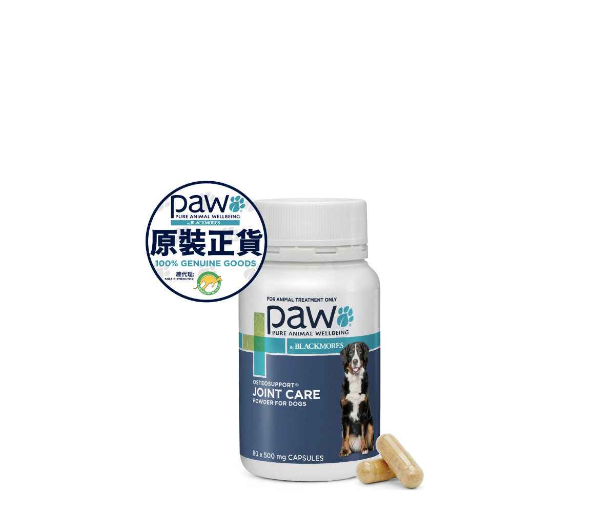 PAW - 狗用關節進階護理配方 500mg  (150粒裝)