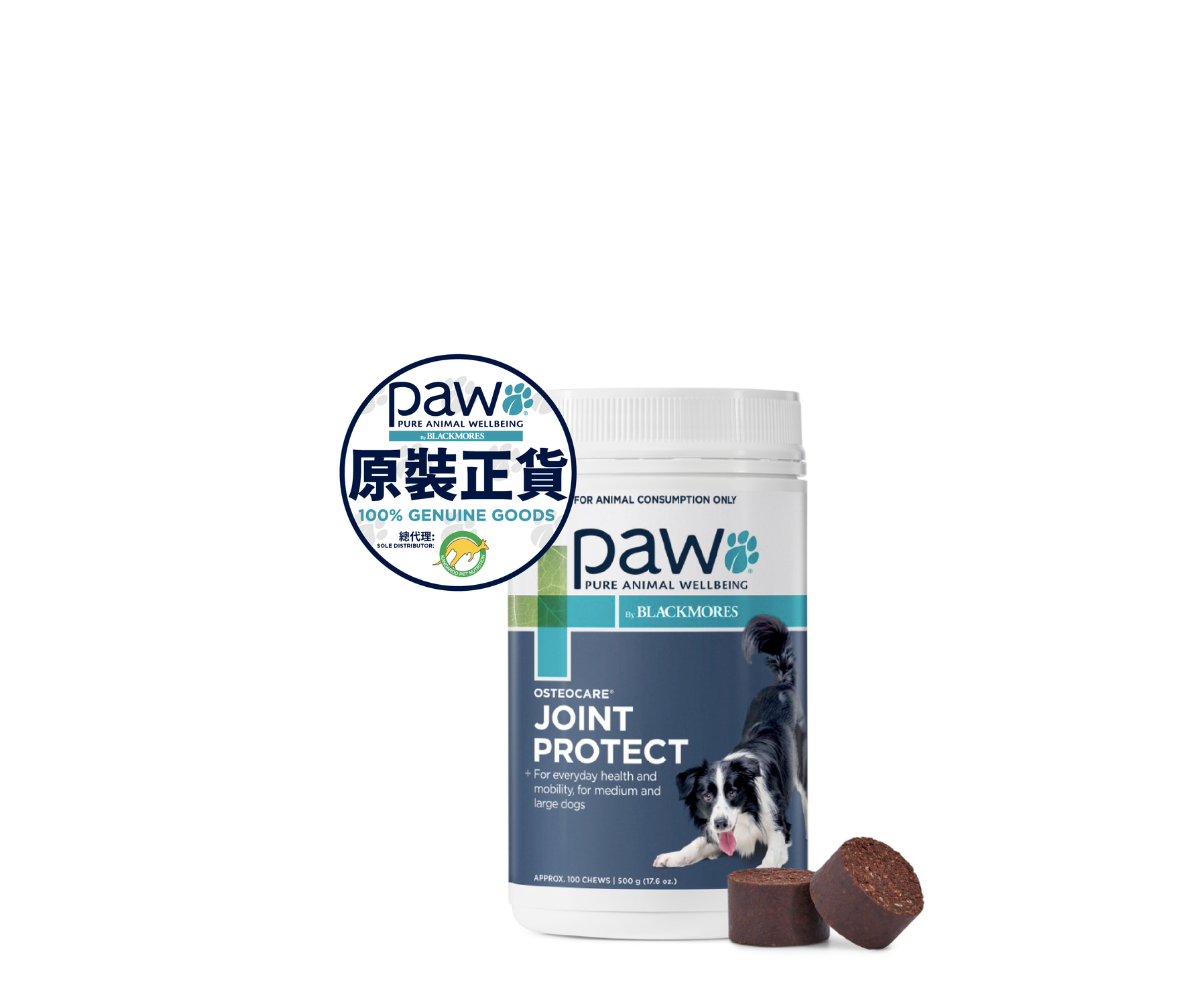 PAW - 關節護理健康咀嚼片（中型及大型犬）500克 - 100粒裝