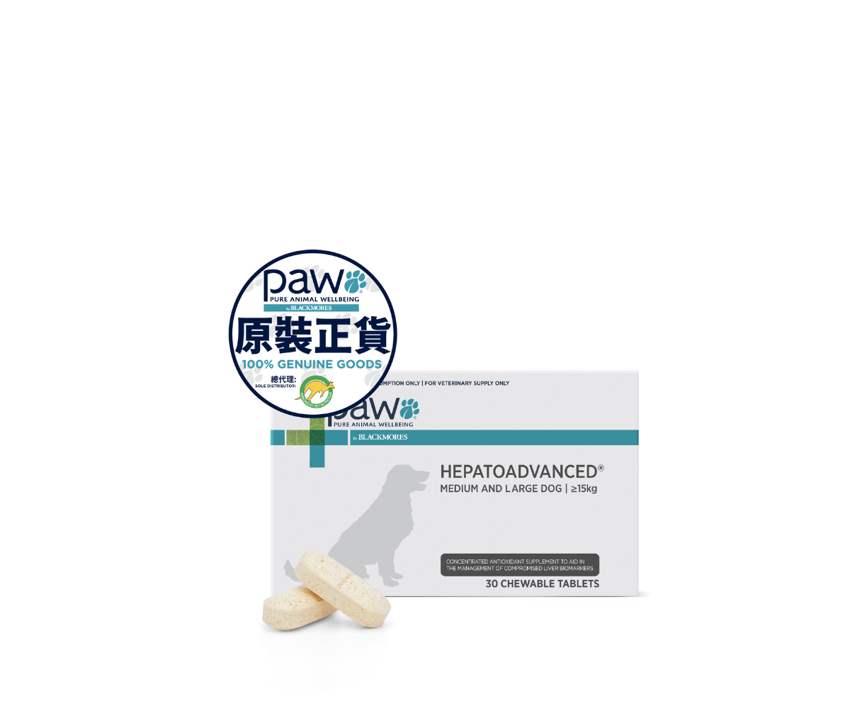 PAW  - 肝臟高效護理配方咀嚼片 (中型及大型犬)  30粒裝