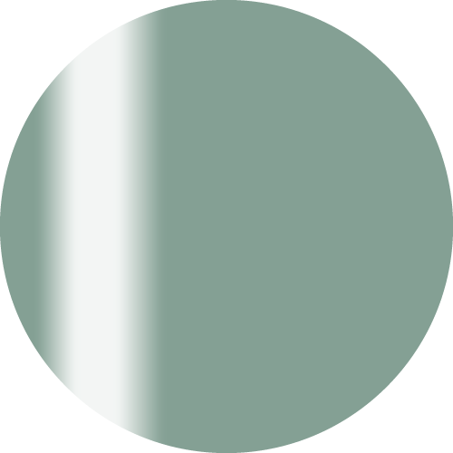 ARTiS di Voce 彩色指甲油 LC43