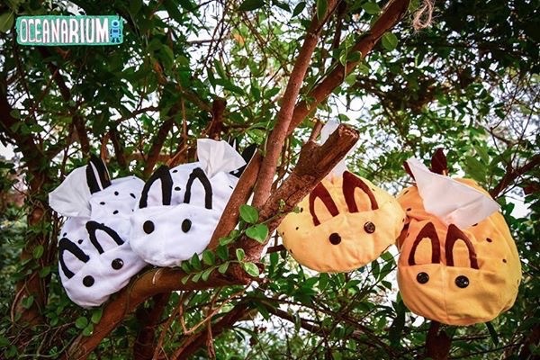 ▲Oceanarium 海蛞蝓面紙套