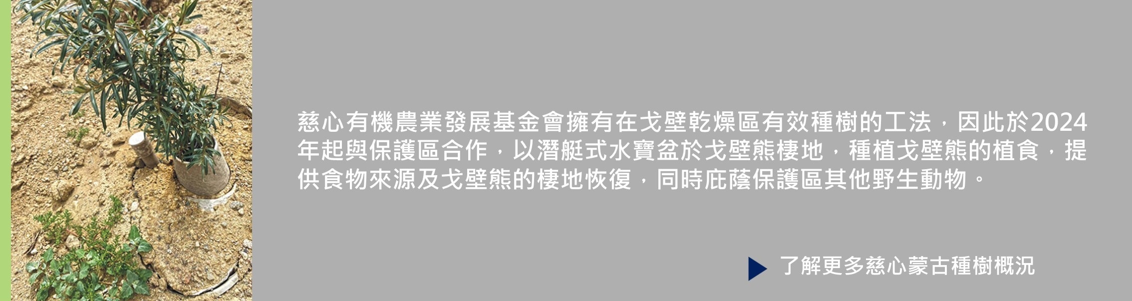 拯救戈壁熊