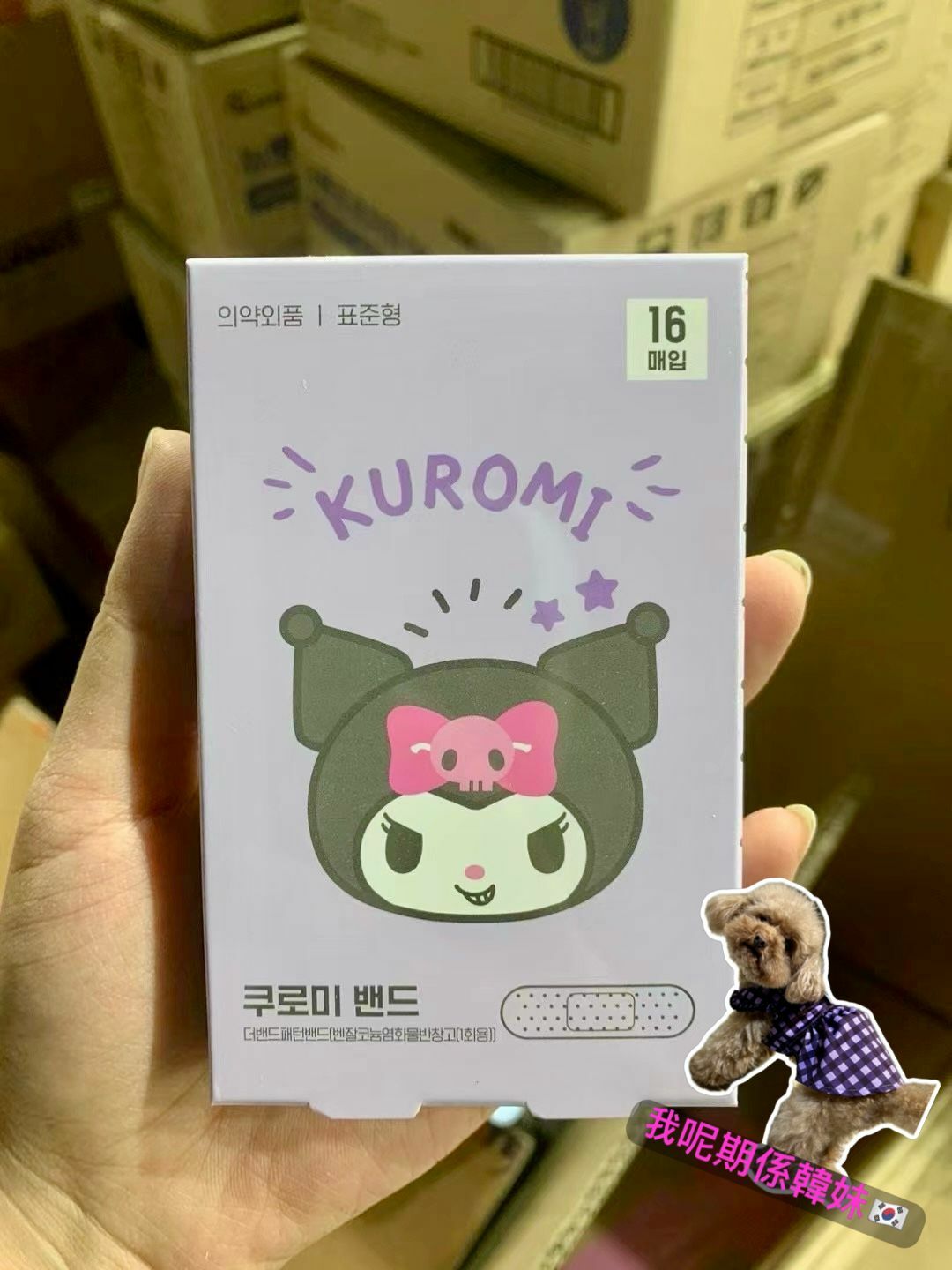 韓國直送 公仔膠布