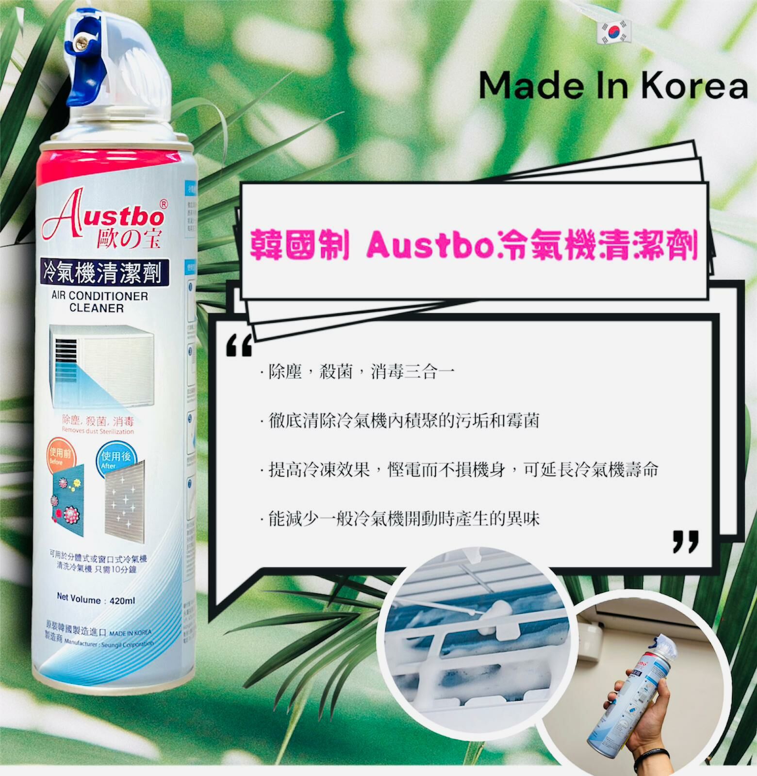 【預購】Austbo F040208 洗冷氣清潔劑
