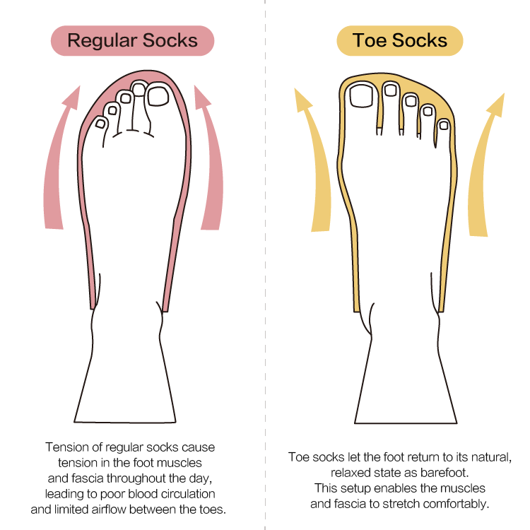 CHEGO Talaria Toe socks let the foot return to its natural, relaxed state as barefoot. This setup enables the muscles and fascia to stretch comfortably.