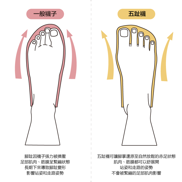 CHEGO五趾襪可讓腳掌還原至自然放鬆的赤足狀態 肌肉、筋膜都可以舒展開 站姿和走路的姿勢 不會被緊繃的足部肌肉影響