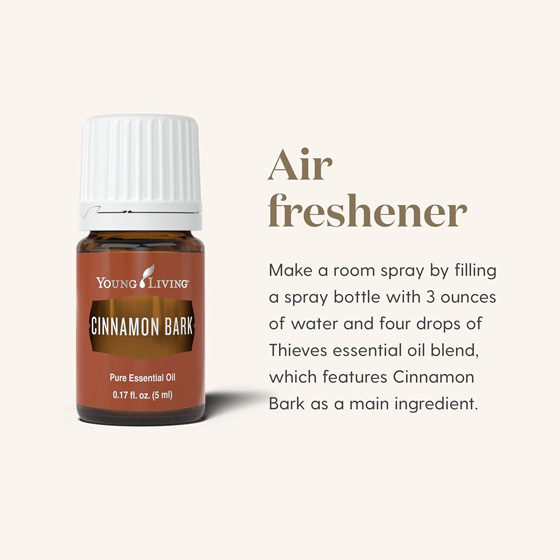 Young Living 桂皮精油 Cinnamon Bark