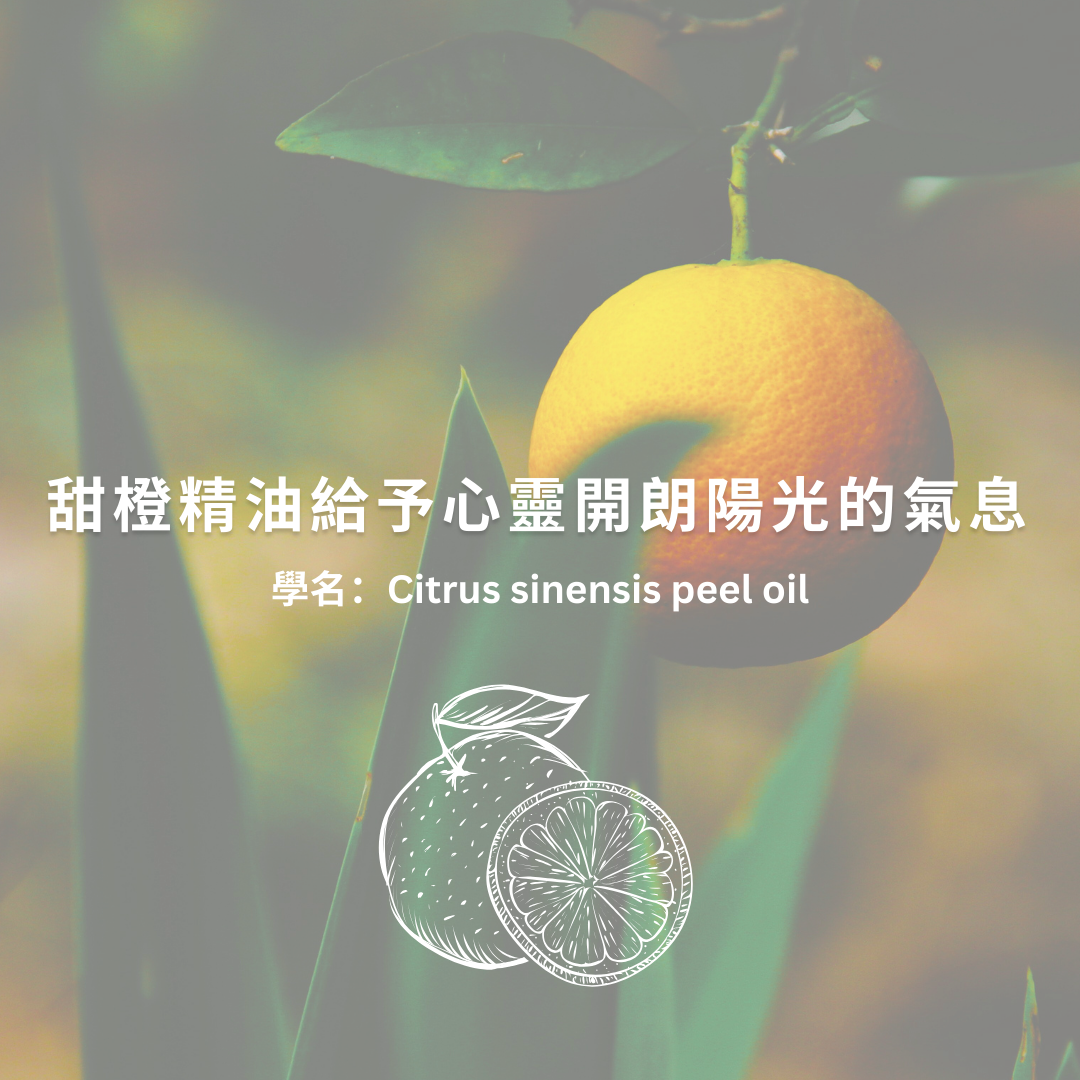 柑橘洗髮餅, 洗髮餅, 洗髮餅推薦, 洗髮皂, 敏感肌, 肥皂洗頭, 洗髮皂過渡期,頭皮出油, 澎鬆髮, 極簡保養, 無動物實驗, 純素洗髮餅, 純皂生活, the soap days